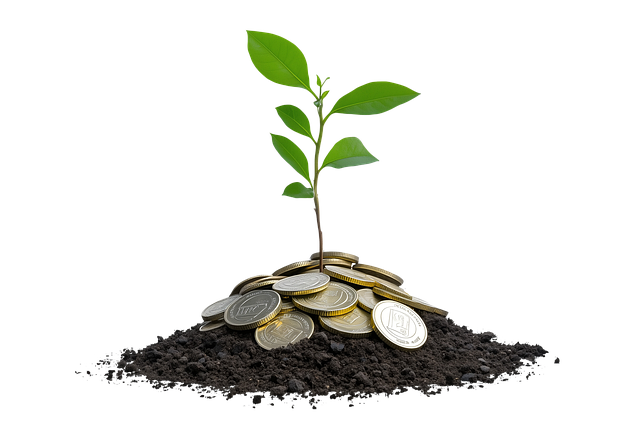 Wie Manager Grüne Finanzstrategien Implementieren Können.